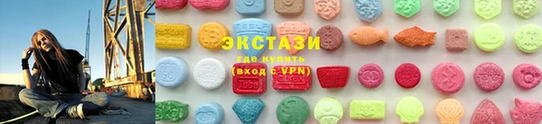 индика Осташков
