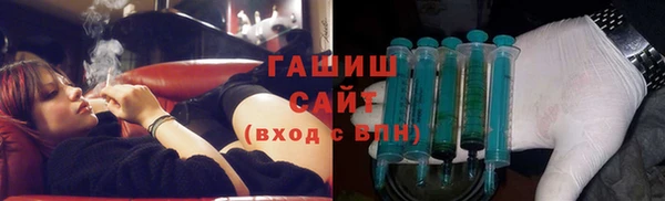 индика Осташков