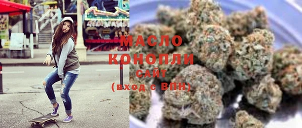 индика Осташков
