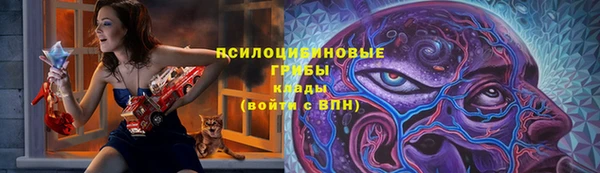 мет Осинники