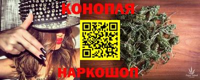 шишки Бийск