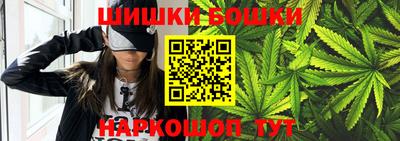 шишки Бийск