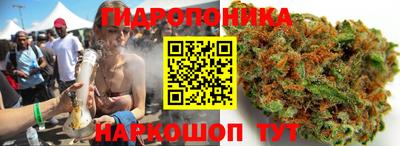 крисы Абакан