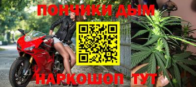 крисы Абакан