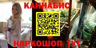 крисы Абакан