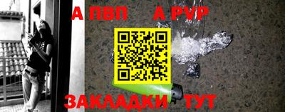 шишки Бийск