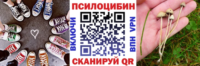 Галлюциногенные грибы Magic Shrooms купить сайты Красноармейск