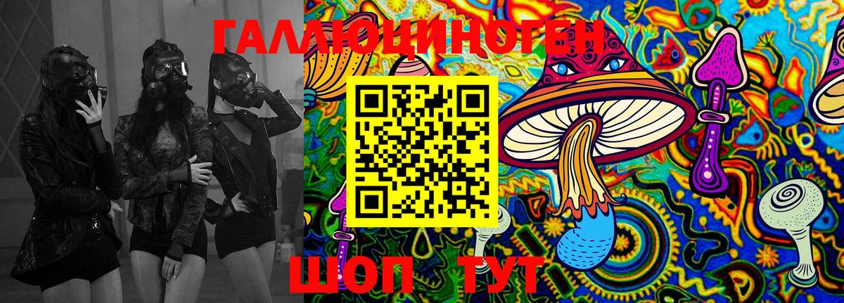 Галлюциногенные грибы GOLDEN TEACHER Красноармейск