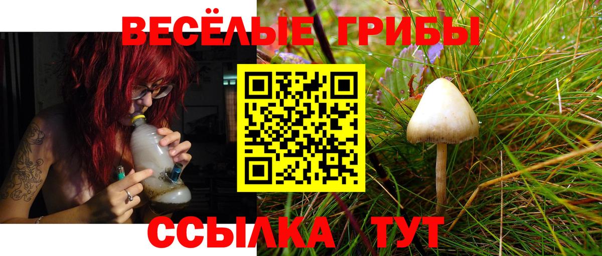 Галлюциногенные грибы мухоморы  Галлюциногенные грибы прущие грибы  купить наркоту  Красноармейск  Вход с VPN 